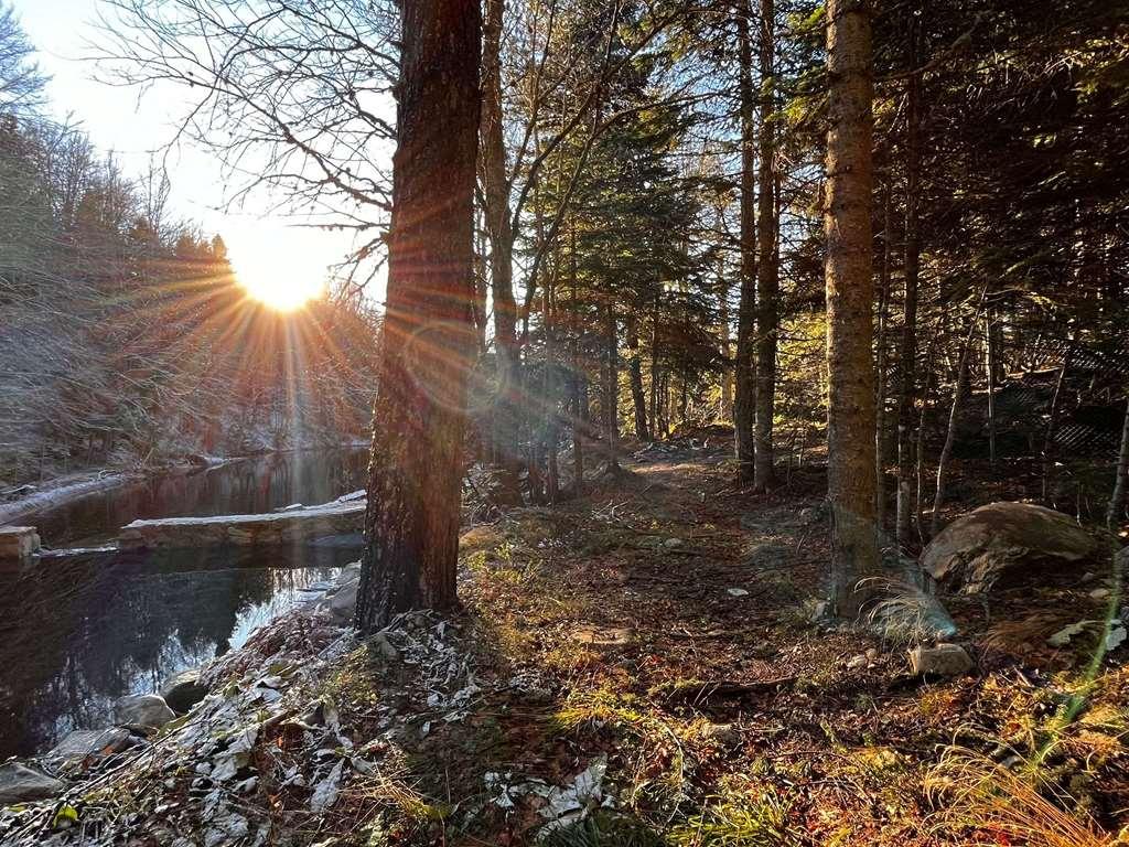 Swissotel Uludag Bursa Servizi foto